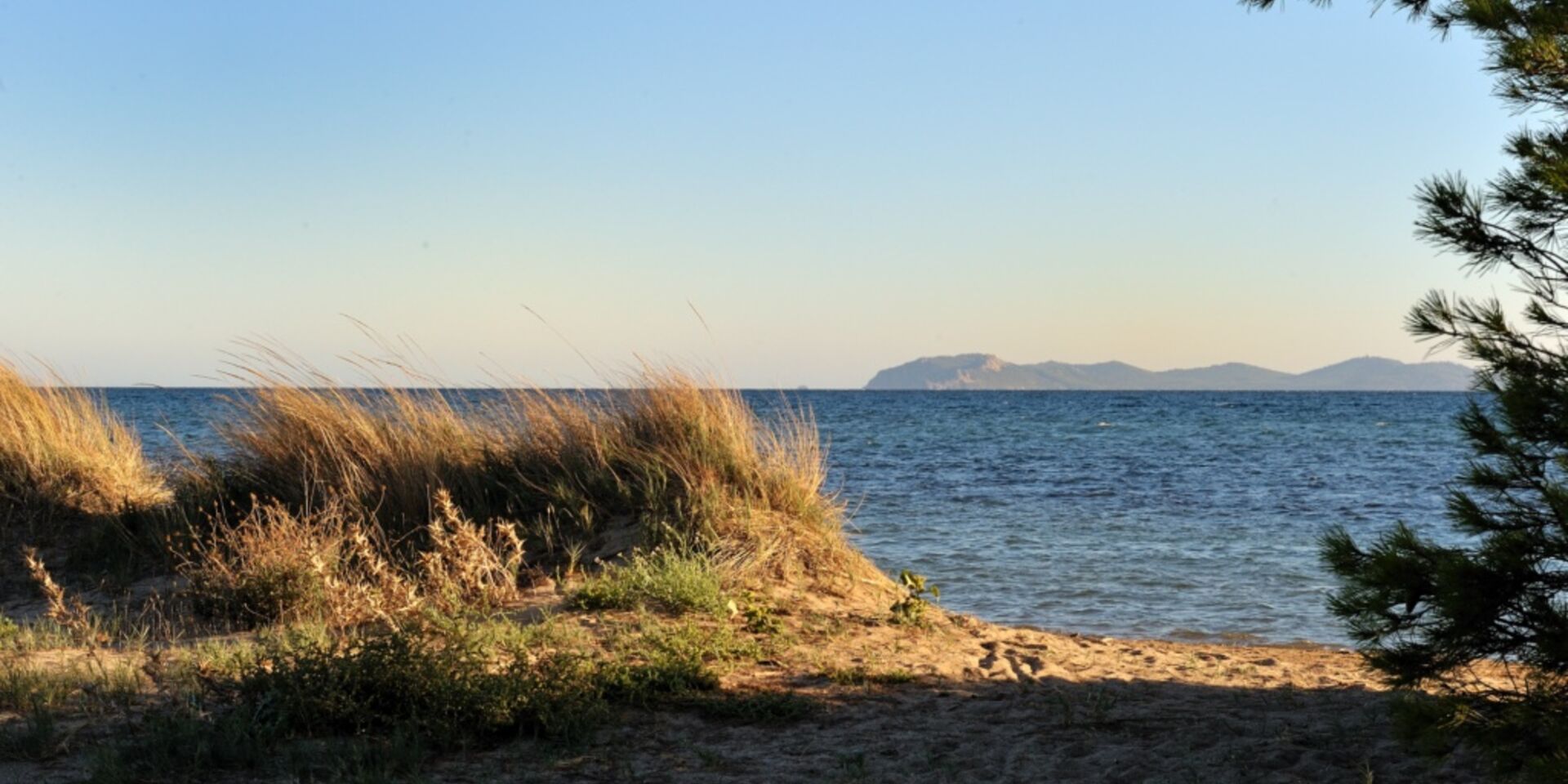 Strand Les Salins in Hyères