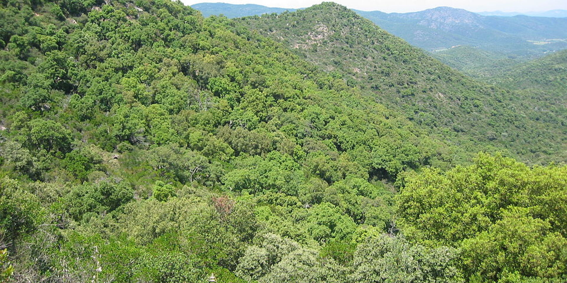 Beschermde natuur en omgeving in het Massif des Maures