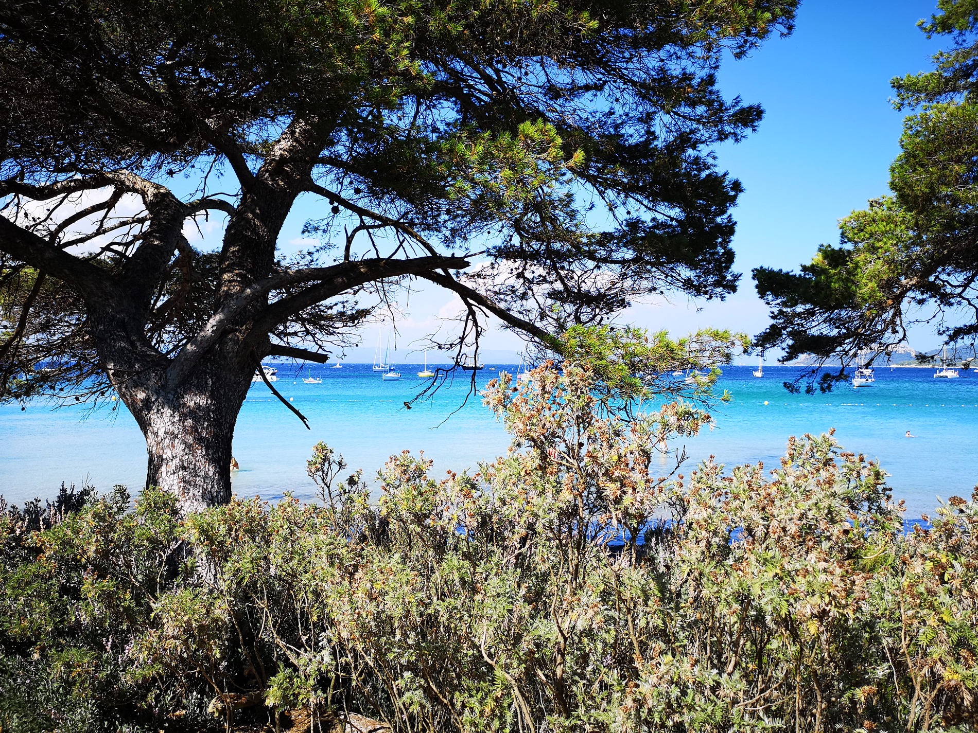 camping-porquerolles-hyeres