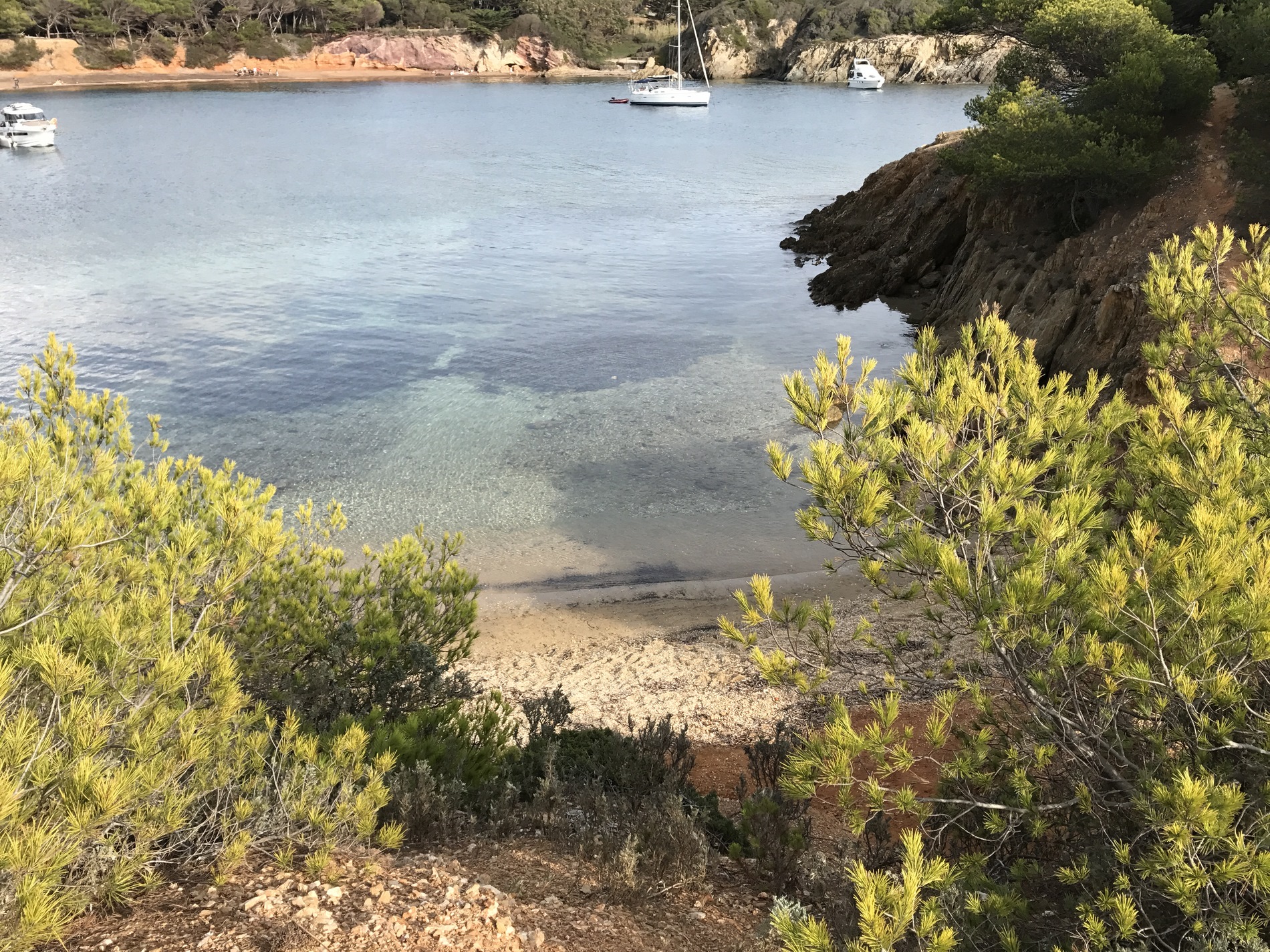 camping-porquerolles-var-bord-de-mer