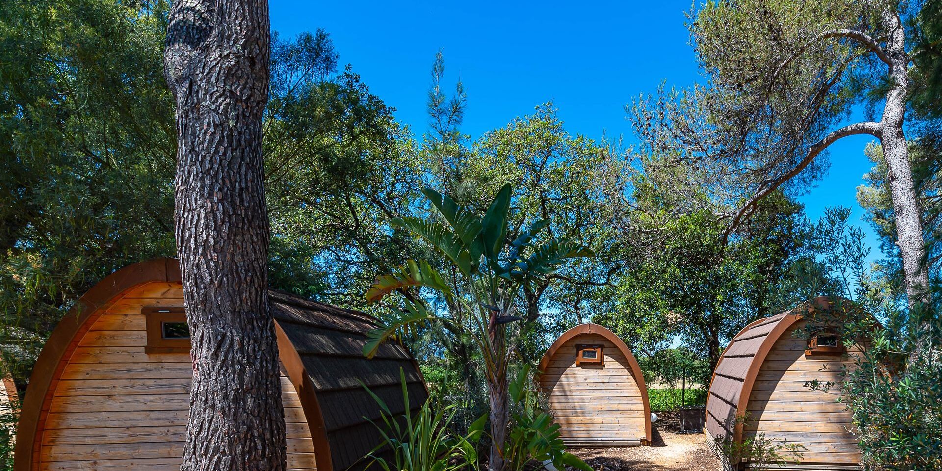 Verhuur van blokhutten op camping in de Provence