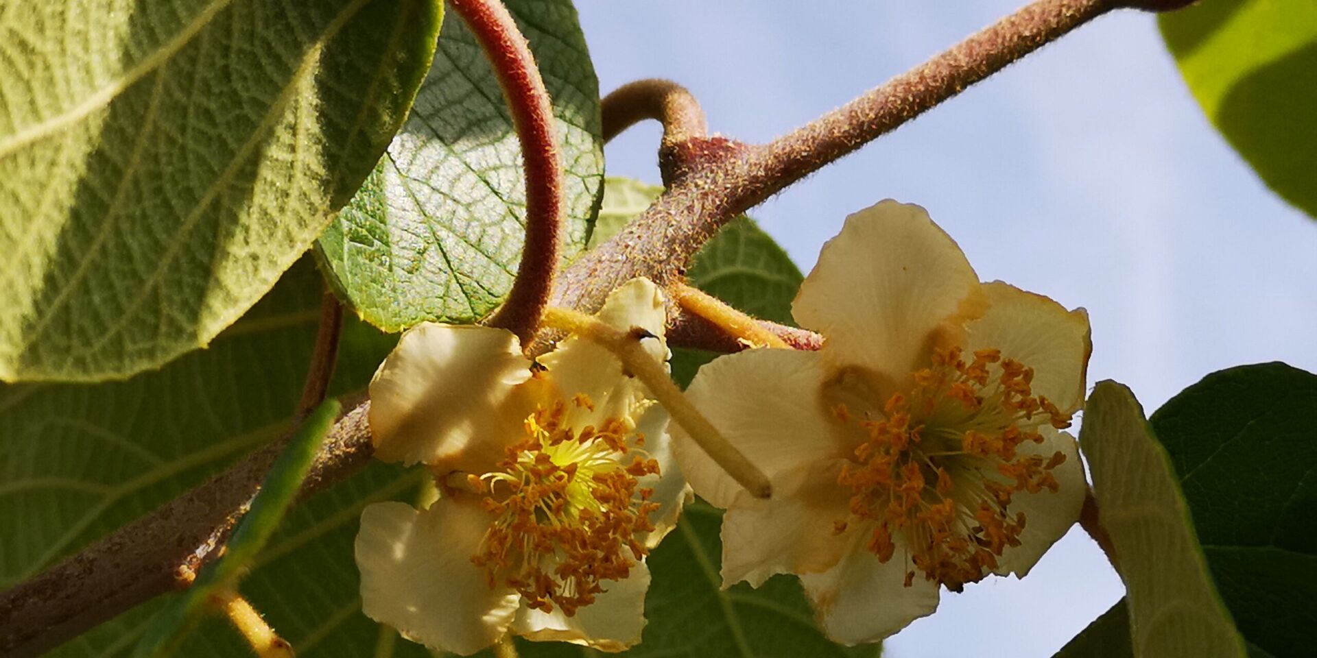 Botanische tuin en milieubewuste camping