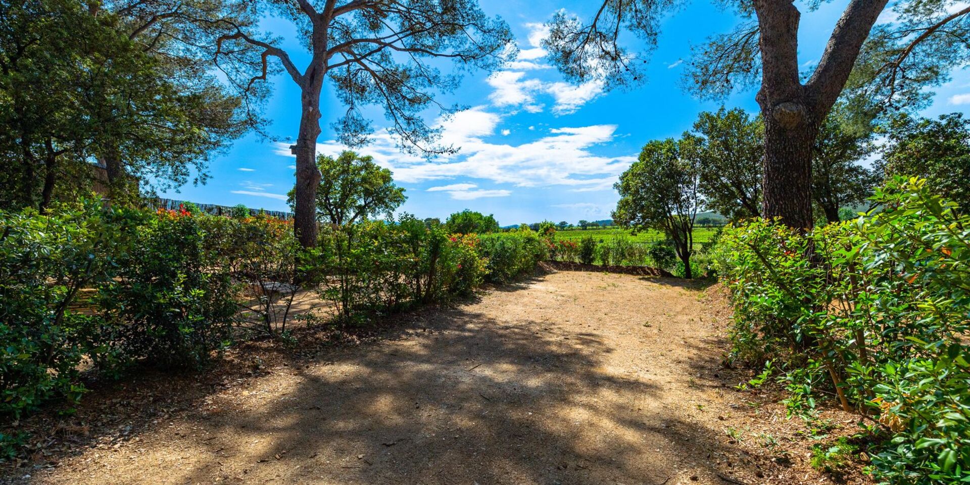 Verhuur van ruime staanplaatsen voor tenten op schaduwrijke camping in Hyères