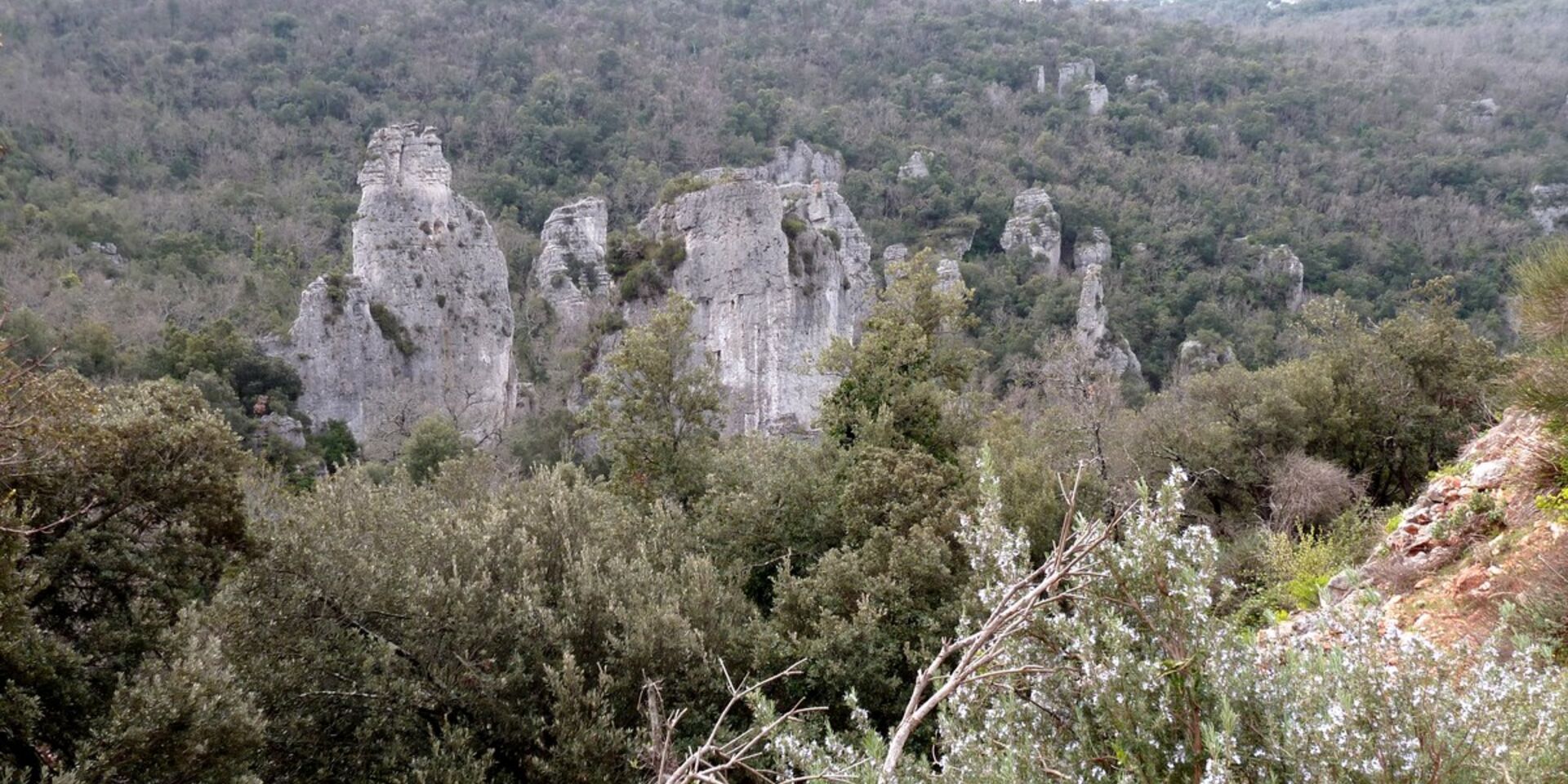 Wandeling in de Provence