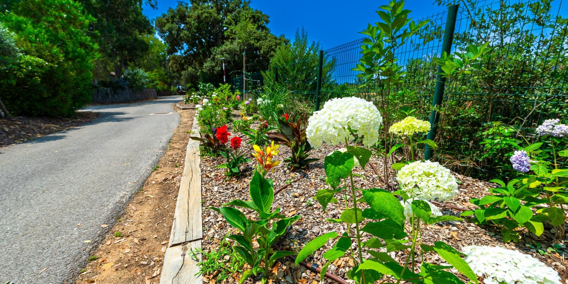 Camping natuur milieubewust Côte d’Azur