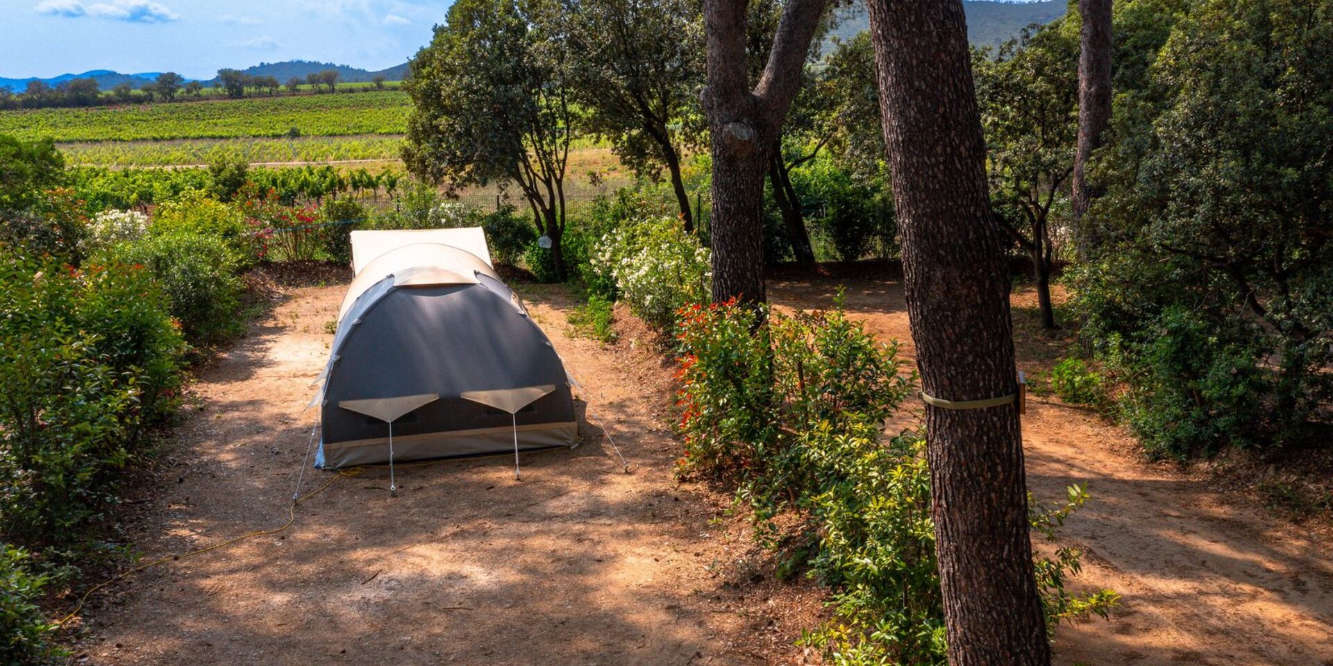 Kampeerplaats voor tent op eco-verantwoorde camping in de natuur in de Provence